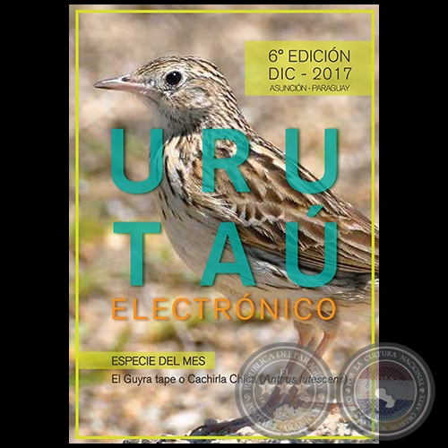 URUTA ELECTRNICO - 6 EDICIN - AO 15 - DICIEMBRE 2017